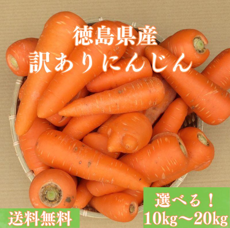 【送料無料】 訳ありにんじん 徳島県産 10kg 20kg 【青果仲卸直送だから新鮮 】 訳あり 規格外品 2024年 人参 ニンジン 国産 お得! 甘みたっぷり 不揃い サイズ混合 こどもも食べられる