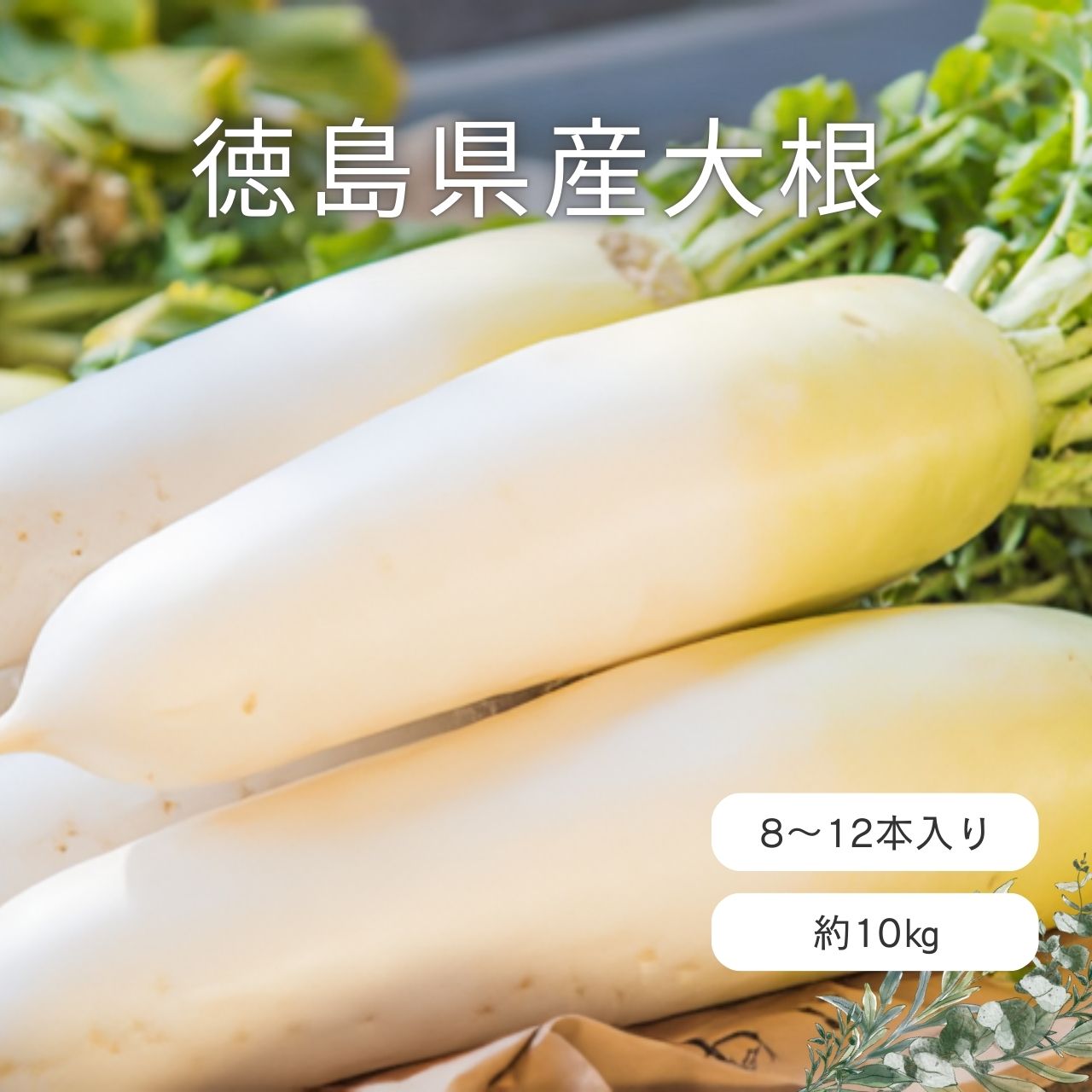 【徳島県産】大根 10kg 8～12入れ 送料無料 だいこん ダイコン ラデッシュ すずしろ 春の七草 根菜 まとめ買い　お買い得