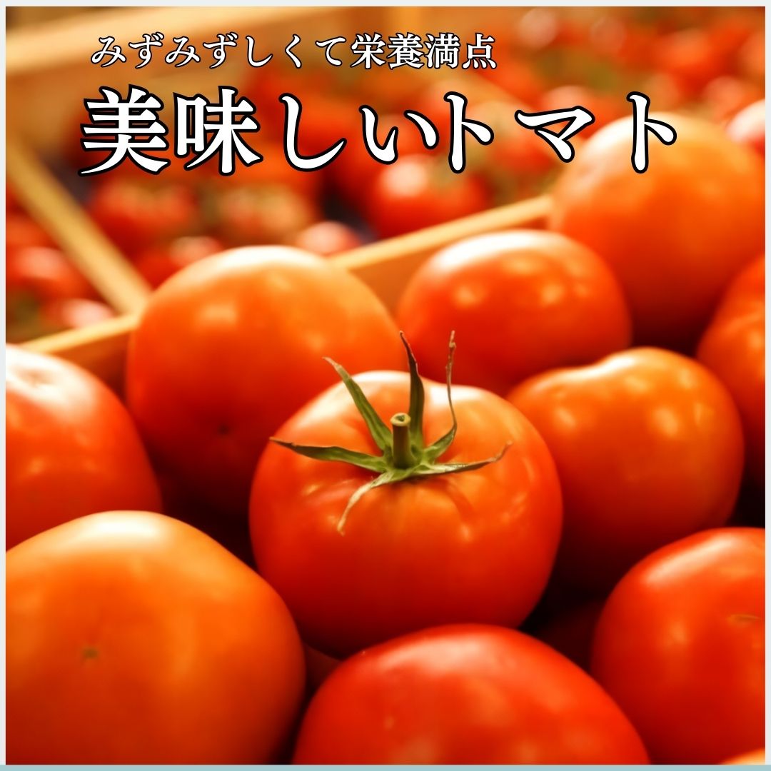 【送料無料】 徳島県産 トマト 約4kg 甘い 野菜 高糖度 リコピン ビタミンC 美味しい 栄養価 食卓 美容 健康 父の日 ギフト 贈り物 とまと ケチャップ トマトソース ダイエット 業務用 加工用 生食用 ジュース