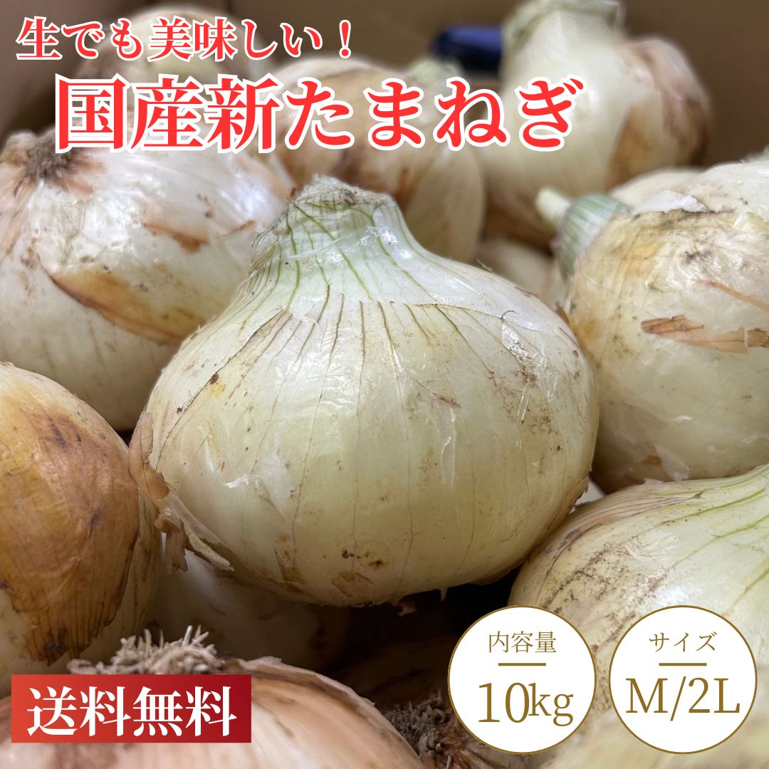 楽天市場】佐賀 新玉ねぎの通販 楽天市場】佐賀 新玉ねぎの通販