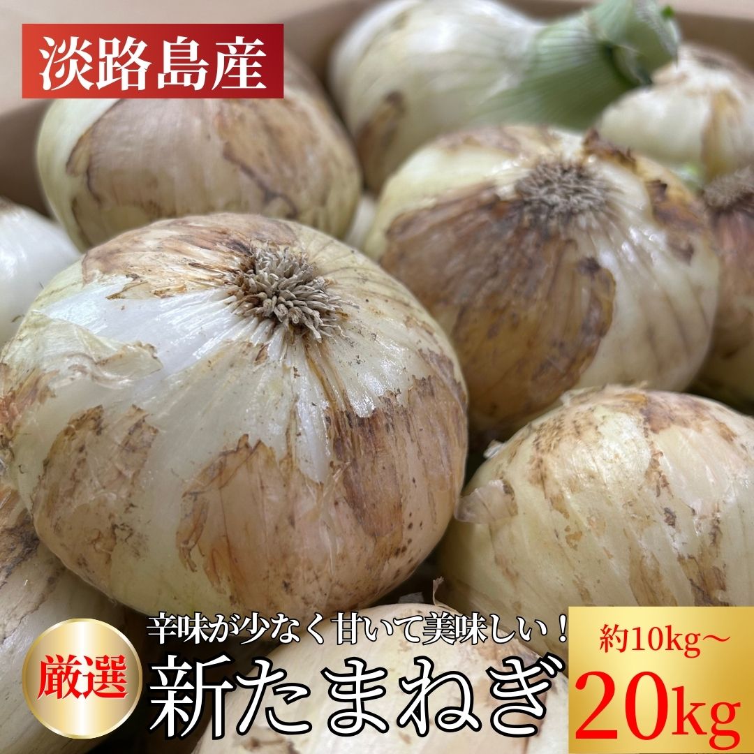 楽天市場】新玉ねぎ 10kg 送料無料 淡路の通販 楽天市場】新玉ねぎ 10kg 送料無料 淡路の通販