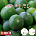 【期間限定★10%OFFクーポン】 【送料無料】徳島県産 ハウスすだち 秀品 約1kg 新物 2L〜4Lサイズ選べる 国産柑橘 果物 フルーツ 薬味 料理用 ギ...
