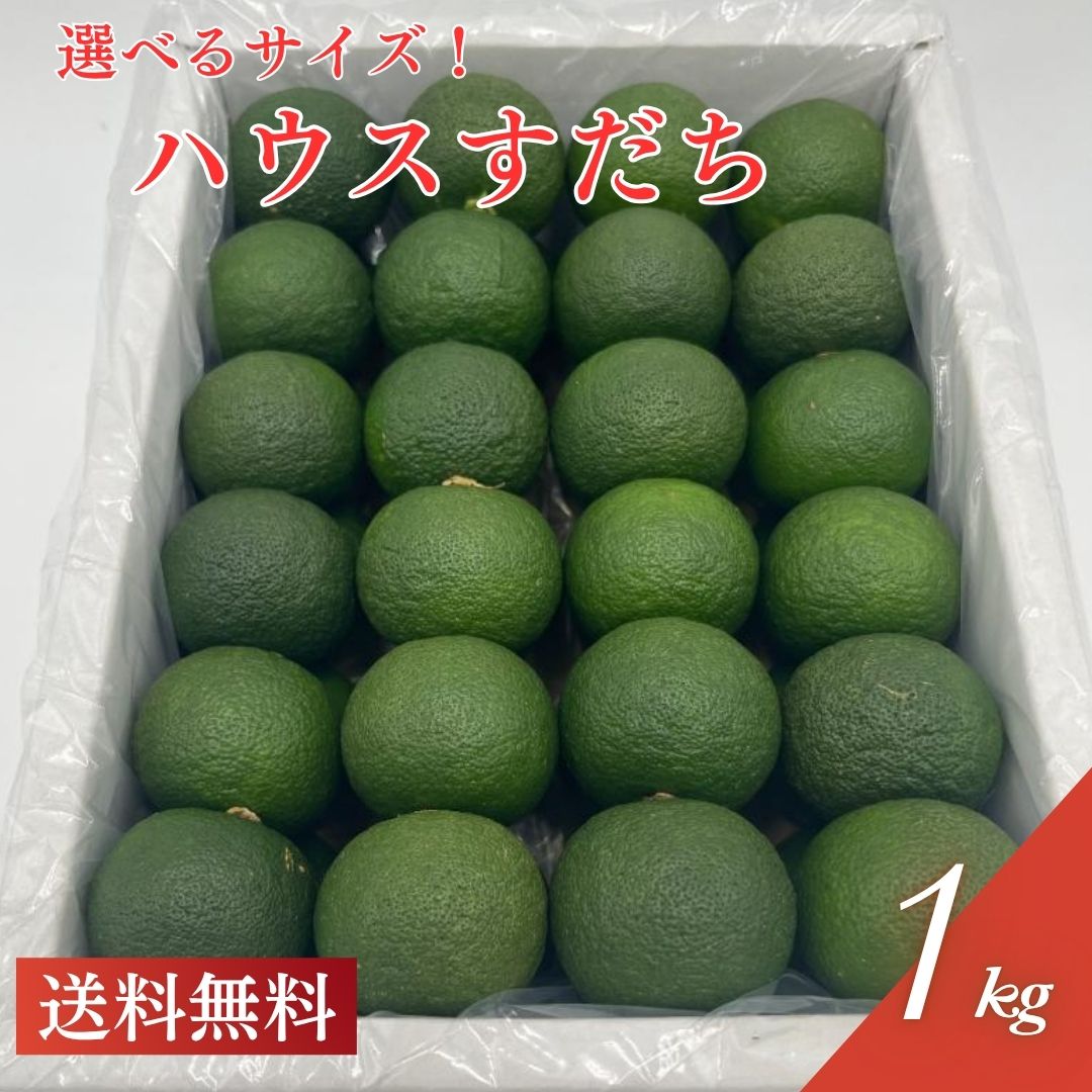 オーガニックすだち5kg（値下げOK）