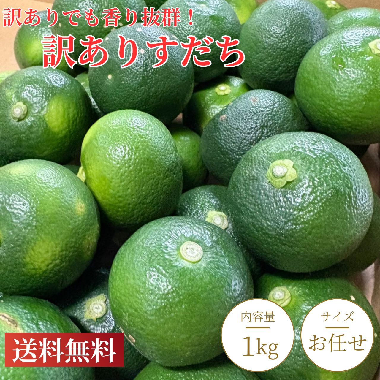 【送料無料】 訳ありすだち 2L～4Lサイズ 混合 約1kg 徳島県産 お買い得品 規格外品 化粧箱入り お刺身 焼き魚 すだち酒 酢の物料理 スダチ 家庭用 お得 安い ハウスすだち