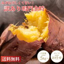 【送料無料】徳島県産 鳴門金時 新物 訳あり さつまいも 5kg/10kg 選べる B品 みずみずしくてやわらか!煮物・天ぷら・スイーツに最適 食物繊維たっぷり 箱買い 国産 お取り寄せ グルメ 非常食 ギフト なると金時 サツマイモ 美味しい 大量 安い お買い得 詰め合わせ 生芋