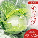 【送料無料】国産 大玉キャベツ 約9〜10kg(8〜10玉) 秀品 業務用・家庭用・まとめ買いに最適