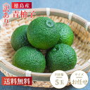【送料無料】徳島県産 青柚子 訳あり 約250g(5玉)爽やかな香りと豊かな風味!薬味や鍋料理・ポン酢・焼き魚・うどん・そば・漬物に最適◎旬の国産ゆず 柚子胡椒づくりにもおすすめ!期間限定の香酸柑橘
