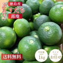 【送料無料】 訳ありすだち 2L~4Lサイズ 混合 約1kg~10kg 徳島県産 産地直送 お買い得品 規格外品 化粧箱入り お刺身 焼き魚 すだち酒 酢の物料理 スダチ 家庭用 お得 安い 露地すだち 露地栽培 うどん 薬味に最適 国産柑橘 スダチ 大容量 お得用