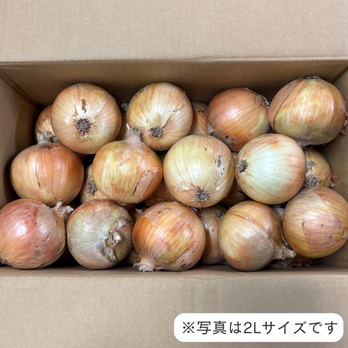 淡路島 玉ねぎ 10kg 秀品 L～2Lサイズ 淡路島産 たまねぎ タマネギ 玉葱 淡路島玉...