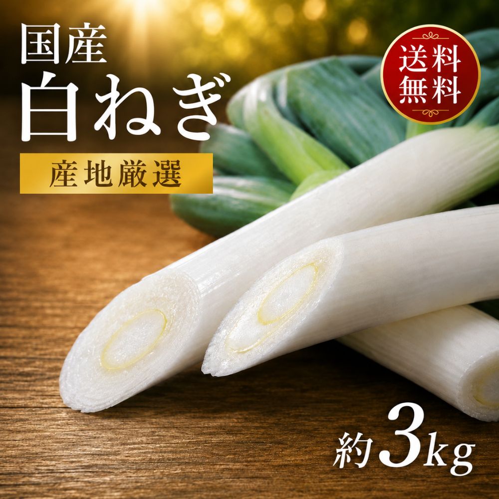 楽天市場】長ねぎ kgの通販