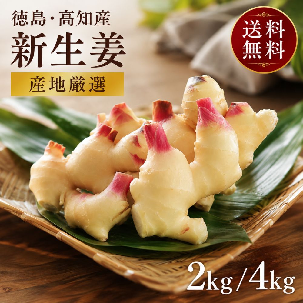 楽天市場】新生姜（生姜｜野菜・きのこ）：食品の通販