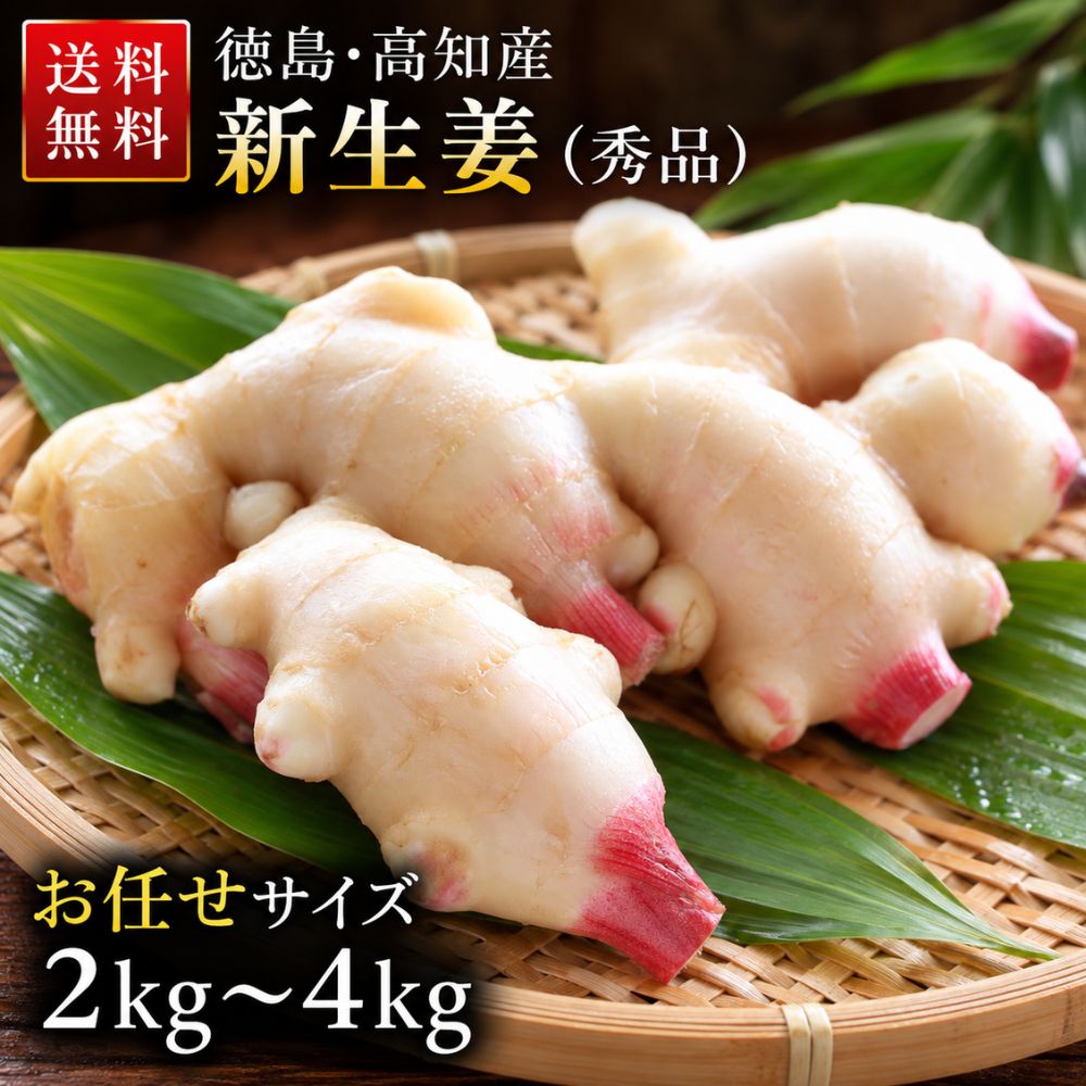新生姜 国内産 秀品 （選べる2kg・4kg）｜生姜 新しょうが しょうが 国産 徳島産 産地直送 甘酢漬け ガリ 新生姜シロップ 生姜焼き 薬味 漬物 業務用 家庭用 食品 送料無料