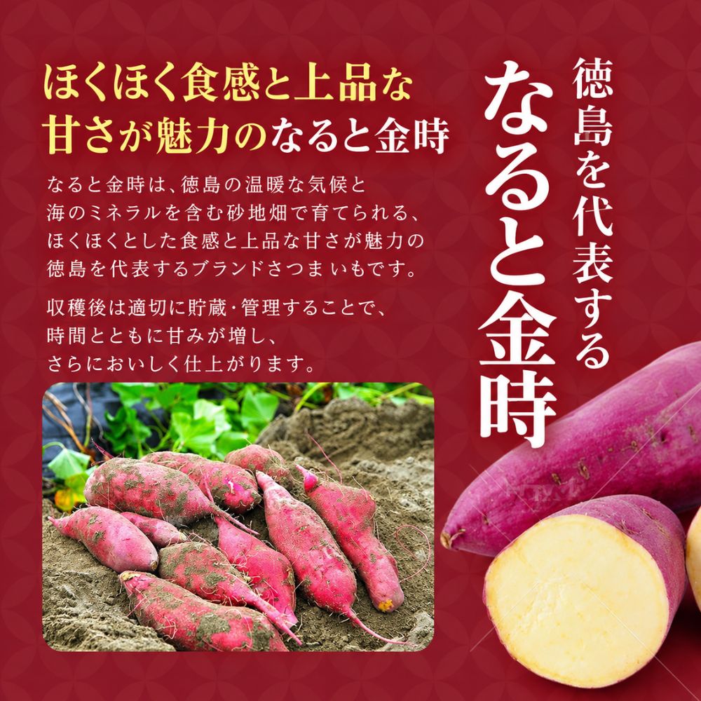 【新物】さつまいも 鳴門金時 徳島県産 秀品（選べる2.5kg・5kg・10kg）｜なると金時 焼き芋 甘い ほくほく 国産 徳島産 産地直送 家庭用 業務用 おやつ お菓子作り 食品 ストック 一部地域除き 送料無料 mannma-mannma-10000006 manma fruits-vege サンプル画像2