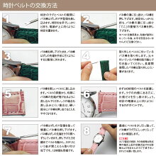 カシス時計ベルトTYPEDW(タイプディーダブリュー)