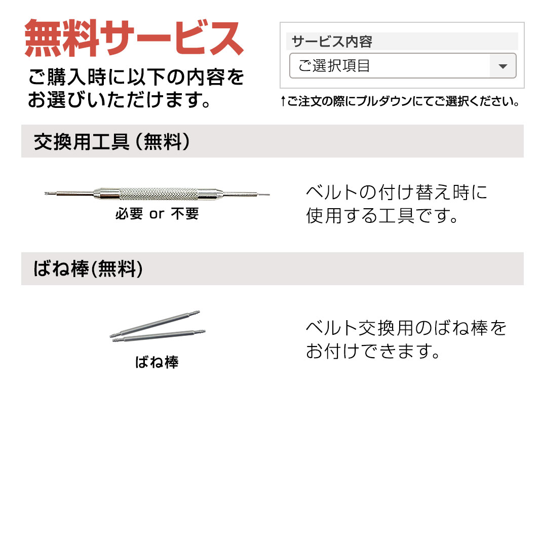 時計ベルト 時計バンド カシス製腕時計ベルト メッシュサテン V06000H7 22mm 腕時計ベルト 時計 ベルト 時計 バンド スマートウォッチ 3