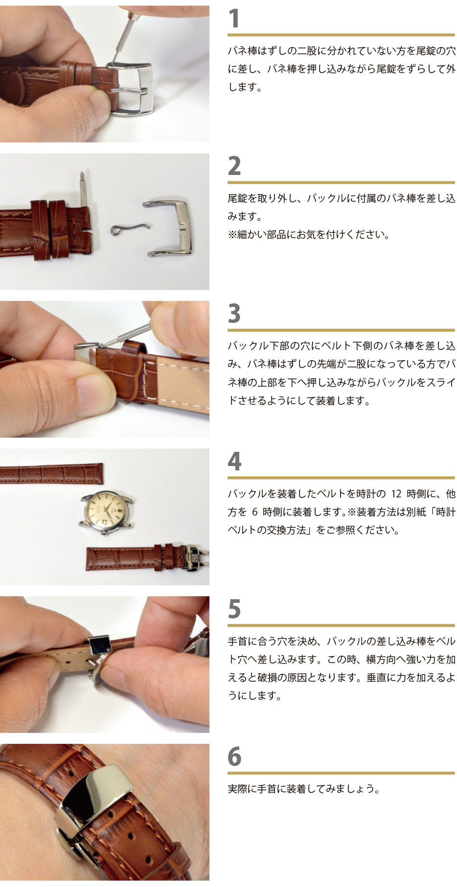 ξ���� �Ѳ����� �ץå��弰 D�Хå���