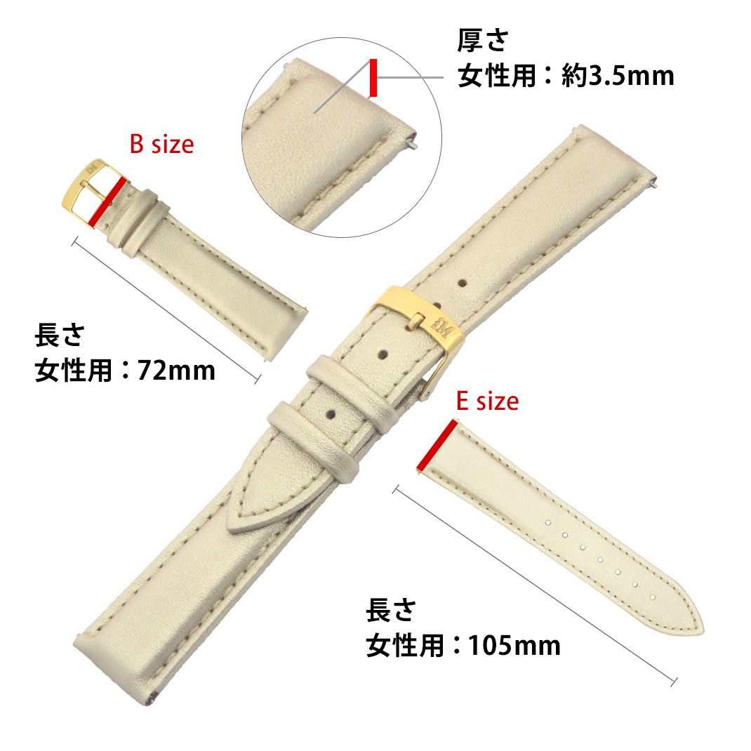 クルース ミニュイ 用 CLUSE Minuit にぴったりの ベルト バンド MORELLATO モレラート TREND D5050C47 16mm 簡単ベルト交換用工具付 時計 ベルト バンド 腕時計 時計ベルト 交換 時計バンド 腕時計ベルト レディース ベルト交換 替えベルト 腕時計バンド ウォッチベルト