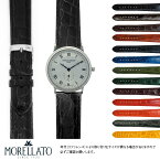 フレデリックコンスタント 用 FREDERIQUE CONSTANT にぴったりの ベルト バンド MORELLATO モレラート AMADEUS X0518052｜メンズ レディース 時計 ベルト カイマンワニ ワニ革 バンド 時計バンド 交換 腕時計 変え 交換 腕時計バンド 腕時計ベルト ベルトだけ おしゃれ