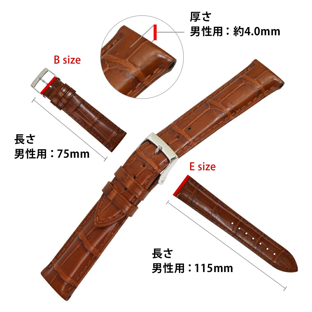 楽天市場】ロレックス サブマリーナ 用 裏面防水 ROLEX