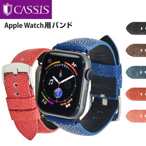 アップルウォッチ applewatch3 applewatch4 applewatch5 バンド ベルト apple watch series 6,SE,5,4,3,2,1 ガルーシャ 本革 42mm 44mm カシス製 TYPE PNR44 UBPAN007 保護ケースつき | メンズ レディース 男性 女性 時計ベルト 腕時計ベルト 時計バンド 腕時計 ウォッチ