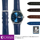 シチズン コレクション ロイヤルブルー 用 裏面防水 CITIZEN COLLECTION ROYAL BLUE にぴったりの ベルト バンド CASSIS カシス MULHOUSE U0040656 19mm 簡単ベルト交換用工具付 時計ベルト 時計 ベルト バンド 時計バンド 替えベルト 交換 腕時計 ベルト交換 腕時計バンド