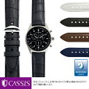 シチズン エコ ドライブ用 完全防水 CITIZEN Eco Drive にぴったりの ベルト バンド CASSIS カシス CAOUTCHOUC CROCO U0043001 20mm簡単ベルト交換用工具付 時計ベルト 時計 ベルト ラバー バンド 時計バンド 替えベルト 交換 腕時計 腕時計ベルト 交換ベルト