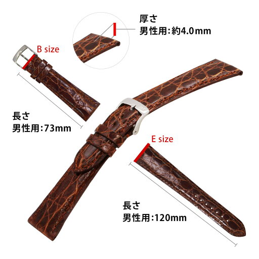 IWC マーク 用 IWC MARK にぴったりの ベルト バンド MORELLATO モレラート AMADEUS X0518052 20mm 簡単ベルト交換用工具付 時計 ベルト バンド 腕時計 時計ベルト レザー 革ベルト 交換 時計バンド ワニ革 腕時計ベルト 革 ベルト交換 本革 替えベルト 腕時計バンド