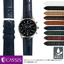 シチズン エコ ドライブ用 裏面防水 CITIZEN Eco Drive にぴったりの ベルト バンド CASSIS カシス ADONARA C U1017A70 簡単ベルト交換用工具付 時計ベルト 時計 ベルト バンド 時計バンド 替えベルト 交換 腕時計 腕時計ベルト 革ベルト 本革 交換ベルト 彼氏