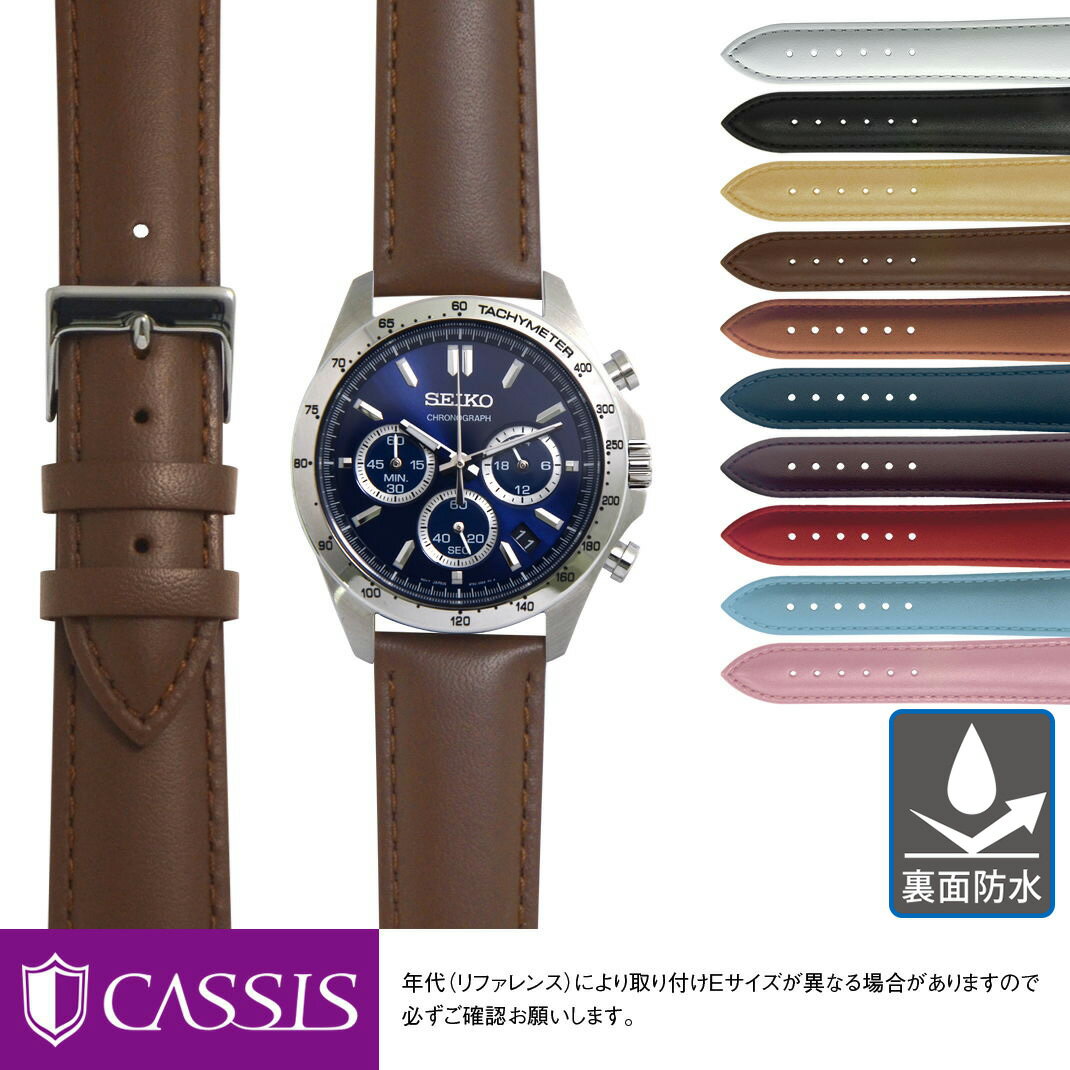 セイコースピリット セイコー スピリット 用 裏面防水 SEIKO SPIRIT にぴったりの ベルト バンド CASSIS カシス REIMS U10257A1 簡単ベルト交換用工具付 時計ベルト 時計 ベルト バンド 時計バンド 替えベルト 交換 腕時計 腕時計バンド 腕時計ベルト 革ベルト メンズ 革バンド 本革 替え