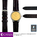 セイコー クレドール 用 SEIKO Credor にぴったりの ベルト バンド CASSIS カシス HAVRE U1089041 簡単ベルト交換用工具付 時計ベルト 時計 ベルト リザード バンド 時計バンド 替えベルト 交換 腕時計 ベルト交換 腕時計バンド 腕時計ベルト 革ベルト 革 バンド交換 交換