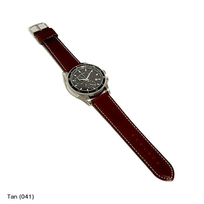 ハミルトン ジャズマスター HAMILTON JazzMaster にぴったり RODIUS 装着イメージ