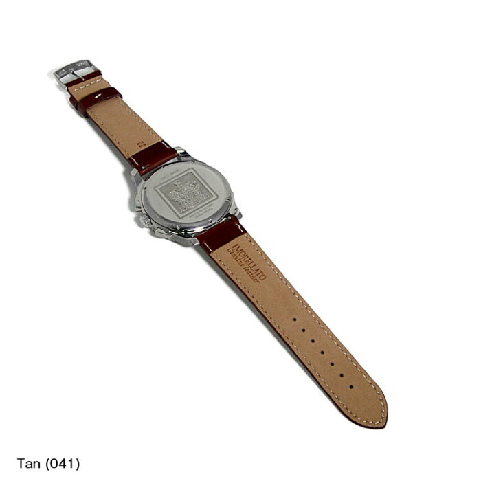 ハミルトン ジャズマスター HAMILTON JazzMaster にぴったり RODIUS 装着イメージ