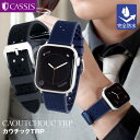 アップルウォッチ バンド メンズ カウチックラバー アップルウォッチバンド 完全防水 apple watch ベルト applewatch 11 ~1 SE ultra スポーツ アップルウォッチ9 男性 40mm 41mm 42mm 44mm 45mm 46mm 49mm 保護カバー付 カシス CAOUTCHOUC TRP カウチックティーアールピー