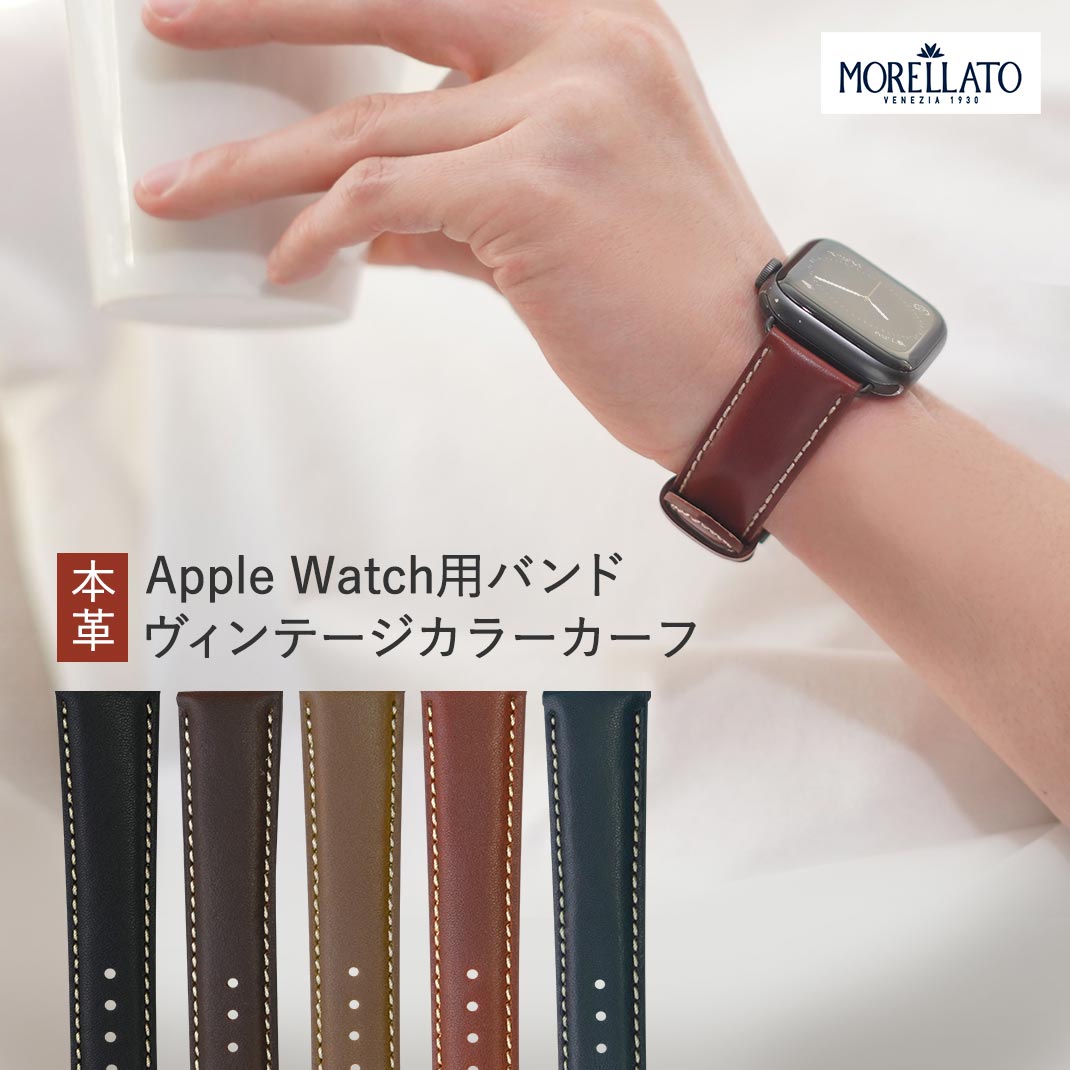 アップルウォッチ バンド ベルト apple watch series 9 8 7 6 5 4 3 2 1 SE Ultra2 ウルトラ RODIUS ロディウス カー…