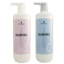 シュワルツコフ サロンオンリー シャンプー 1000ml + コンディショナー 1000g セット (ポンプサイズ) ヘアケア