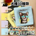 犬種選べる ハンカチ 犬 かわいい 名入れ無料 2枚セット ペット うちの子 犬グッズ 犬イラスト プレゼント ギフト 名入れ 名前入り おしゃれ 誕生日 母の...