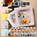 犬種選べる ハンカチ 犬 かわいい 名入れ無料 2枚セット ペット うちの子 犬グッズ 犬イラスト プレゼント ギフト 名入れ 名前入り おしゃれ 誕生日 母の...