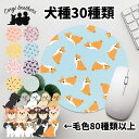 犬種選べる マウスパッド 犬 かわいい 名入れ無料 ペット 保存容器 プレゼント ギフト うちの子 犬グッズ 犬イラスト 名入れ 両面プリント 誕生日 贈り物 ノベルティ コーギーブラザーズ 【 パターン柄 シリーズ 】 ALLSTUP