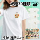 犬種選べる ホワイト tシャツ 犬 かわいい 名入れ無料 ペット うちの子 犬グッズ プレゼント ギフト 名入り おしゃれ ユニセックス 男女兼用 レディース 誕生日 母の日 コーギーブラザーズ 【 グラサン シリーズ】 ALLGTSH