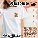 犬種選べる ホワイト tシャツ 犬 かわいい 名入れ無料 ペット うちの子 犬グッズ プレゼント ギフト 名入り おしゃれ ユニセックス 男女兼用 レディース 誕生日 母の日 コーギーブラザーズ 【 晴れ着姿 シリーズ 】 ALLHTSH