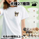 犬種選べる ホワイト tシャツ 犬 かわいい 名入れ無料 ペット うちの子 犬グッズ プレゼント ギフト 名入り おしゃれ ユニセックス 男女兼用 レディース 誕生日 母の日 コーギーブラザーズ 【 水彩画 シリーズ 】 ALLRTSH