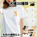 犬種選べる ホワイト tシャツ 犬 かわいい 名入れ無料 ペット うちの子 犬グッズ プレゼント ギフト 名入り おしゃれ ユニセックス 男女兼用 レディース 誕生日 母の日 父の日 コーギーブラザーズ 【 パターン柄 シリーズ 】 ALLSTSH