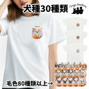 犬種選べる ホワイト tシャツ 犬 かわいい 名入れ無料 ペット うちの子 犬グッズ プレゼント ギフト 名入り おしゃれ ユニセックス 男女兼用 レディース 誕生日 母の日 コーギーブラザーズ 【 ハロウィン シリーズ 】 ALLTTSH