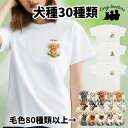 犬種選べる ホワイト tシャツ 犬 かわいい 名入れ無料 ペット うちの子 犬グッズ プレゼント ギフト 名入り おしゃれ ユニセックス 男女兼用 レディース 誕生日 母の日 コーギーブラザーズ 【 自然に囲まれた シリーズ 】 ALLWTSH