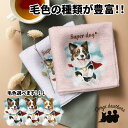 ボーダーコリー 犬 ハンカチ かわいい 名入れ無料 2枚セット ペット うちの子 犬グッズ 犬イラスト プレゼント ギフト 名入れ 名前入り おしゃれ 誕生日 ...
