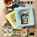 チワワ 犬 ハンカチ かわいい 名入れ無料 2枚セット ペット うちの子 犬グッズ 犬イラスト プレゼント ギフト 名入れ 名前入り おしゃれ 誕生日 母の日 ...
