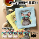 フレンチブルドッグ 犬 ハンカチ かわいい 名入れ無料 2枚セット ペット うちの子 犬グッズ 犬イラスト プレゼント ギフト 名入れ 名前入り おしゃれ 誕生...