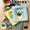 パグ 犬 ハンカチ かわいい 名入れ無料 2枚セット ペット うちの子 犬グッズ 犬イラスト プレゼント ギフト 名入れ 名前入り おしゃれ 誕生日 母の日 贈...