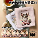チワワ 犬 ハンカチ かわいい 名入れ無料 2枚セット ペット うちの子 犬グッズ 犬イラスト プレゼント ギフト 名入れ 名前入り おしゃれ 誕生日 母の日 ...
