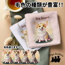 コーギー 犬 ハンカチ かわいい 名入れ無料 2枚セット ペット うちの子 犬グッズ 犬イラスト プレゼント ギフト 名入れ 名前入り おしゃれ 誕生日 母の日...